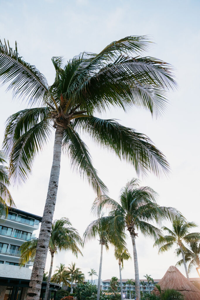 destination wedding in mexico